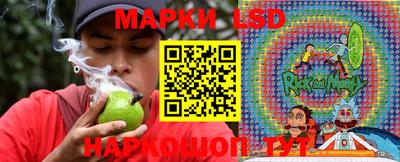шишки Бузулук