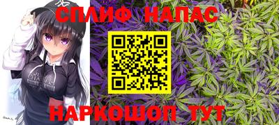 шишки Бузулук