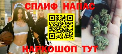 шишки Бузулук
