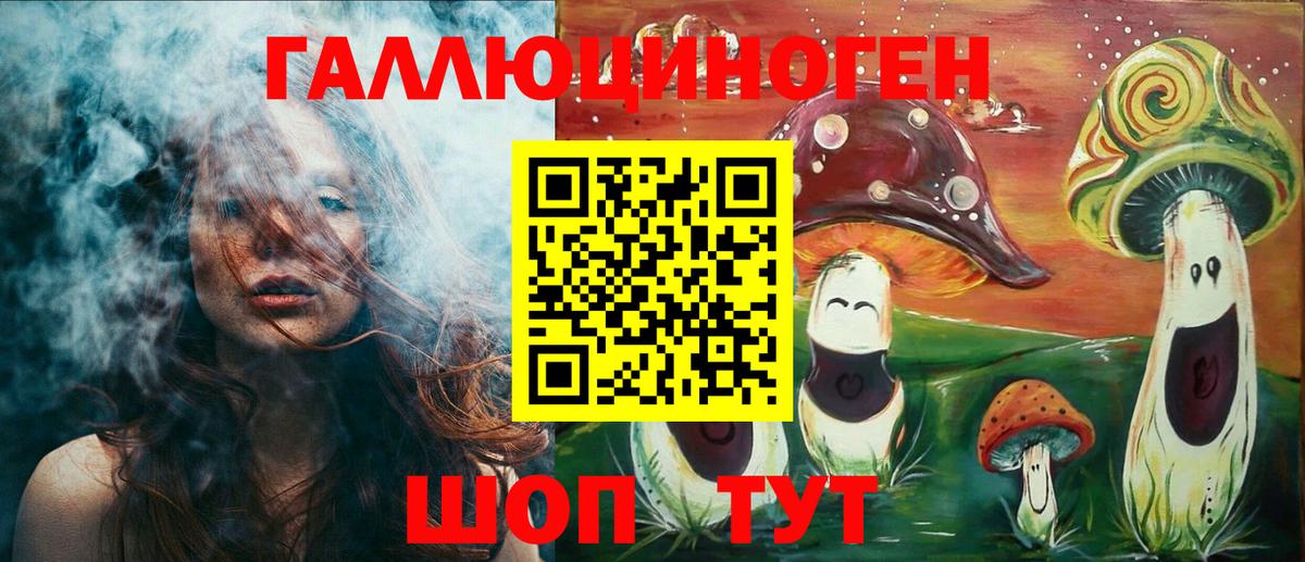 Пугачёв  Галлюциногенные грибы Cubensis  Вход с VPN 